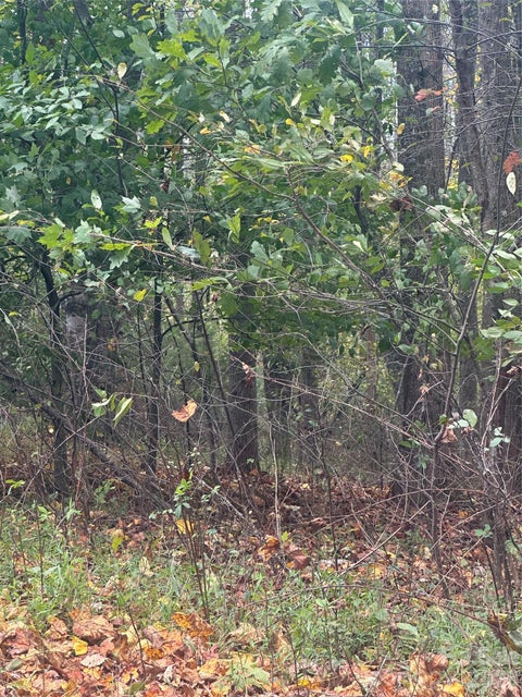 Photo of Lot 120 Friar Court #120, North Wilkesboro, NC 28659 (MLS # 4436687)