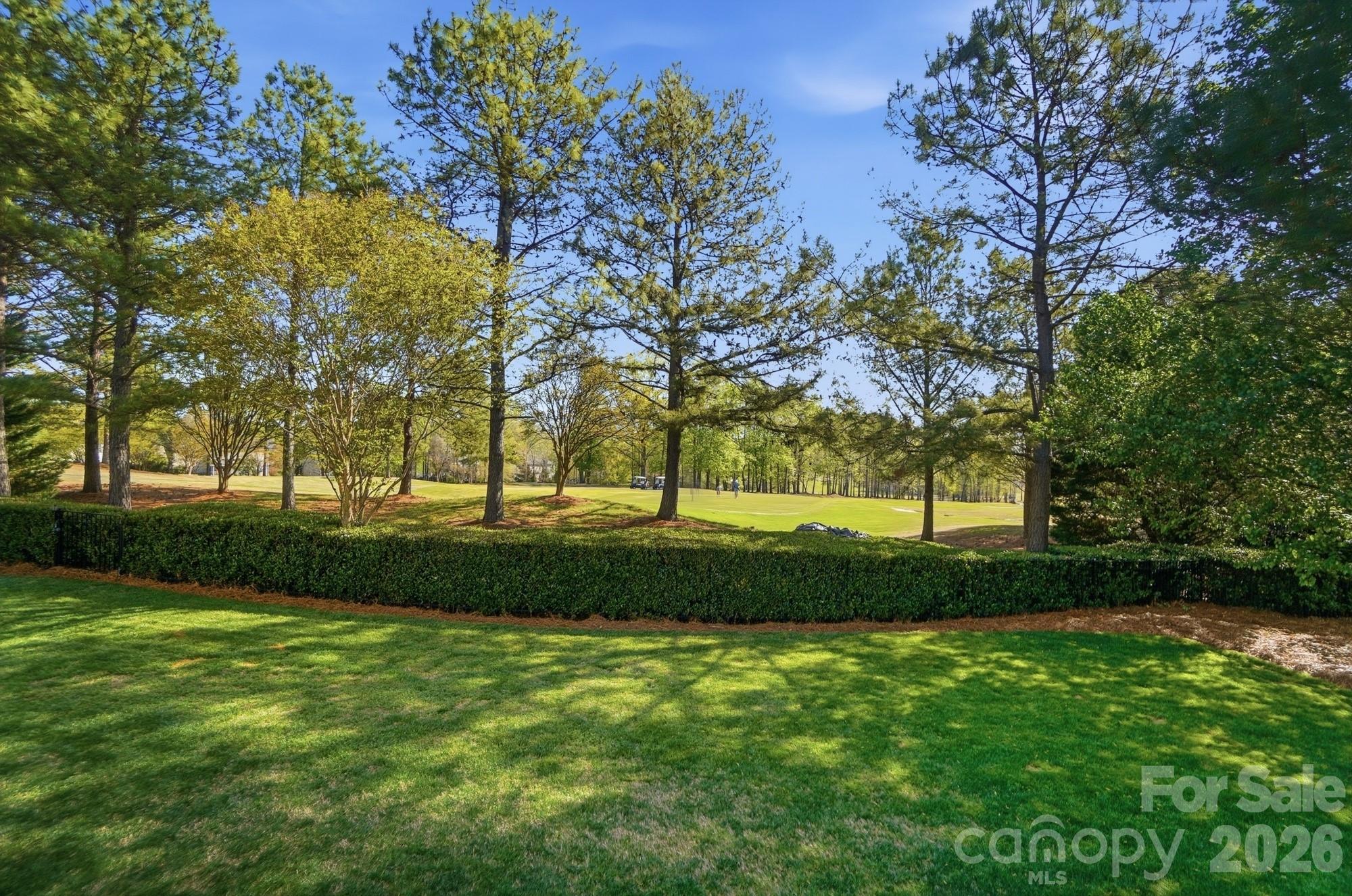 Olde Sycamore - Residential