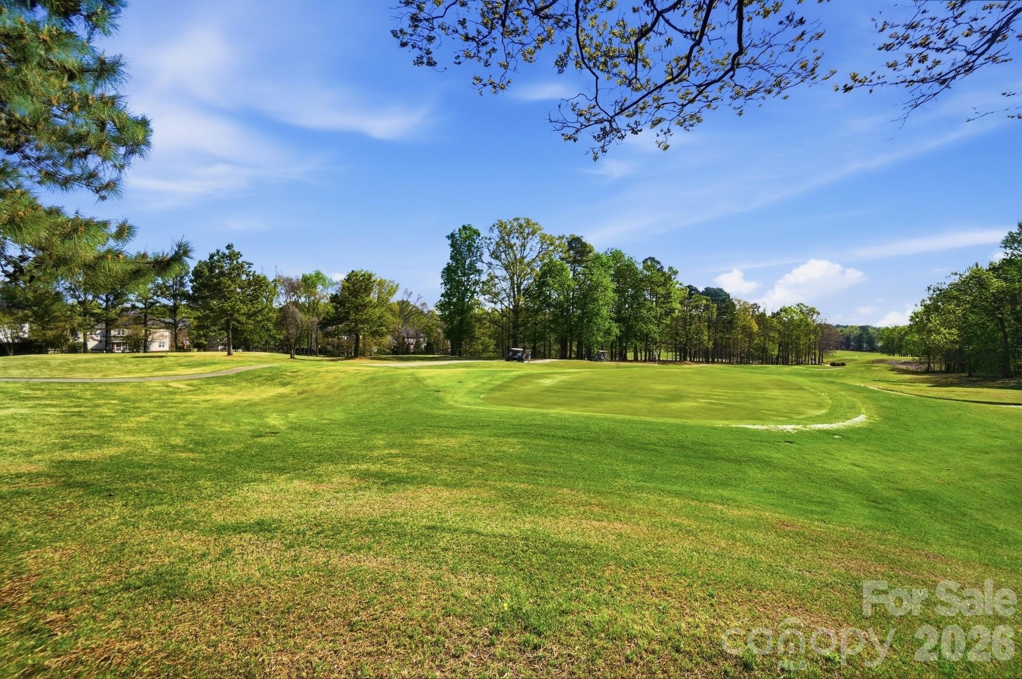 Olde Sycamore - Residential