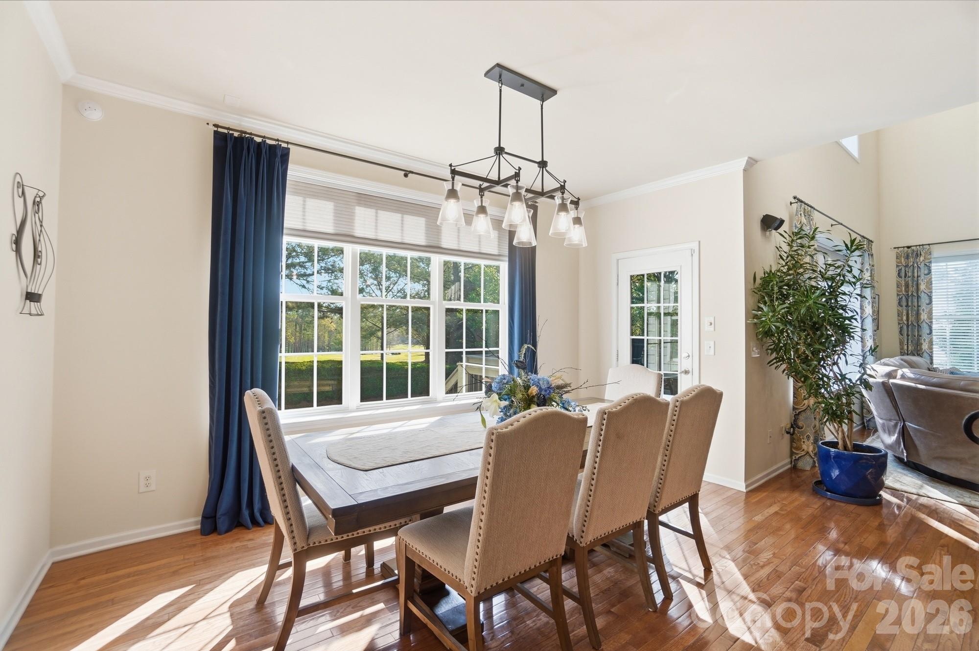 Olde Sycamore - Residential