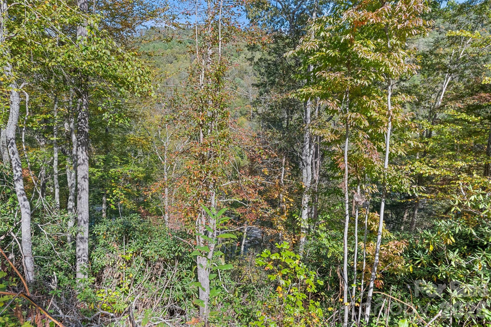 River Woods - Land