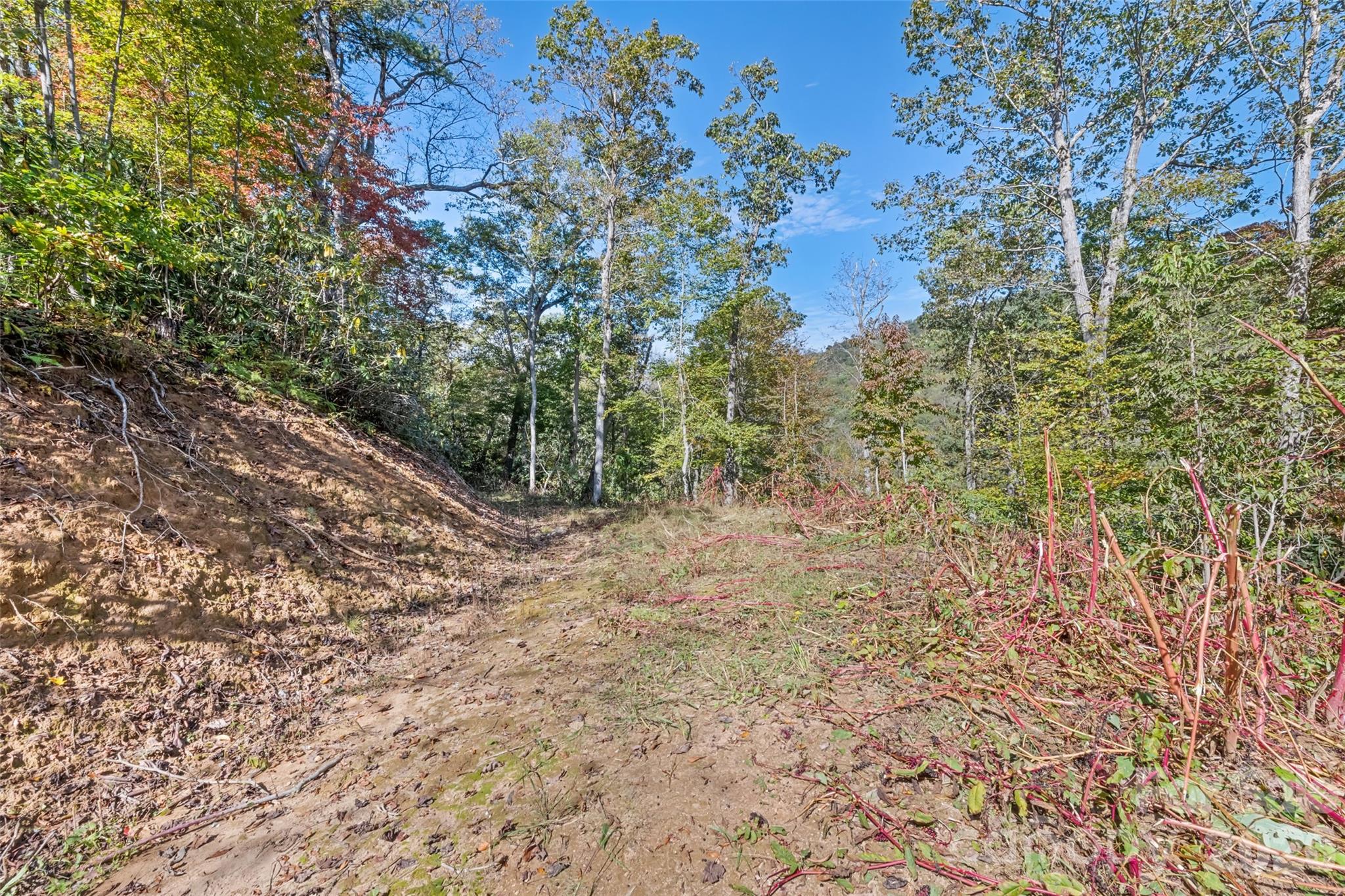River Woods - Land