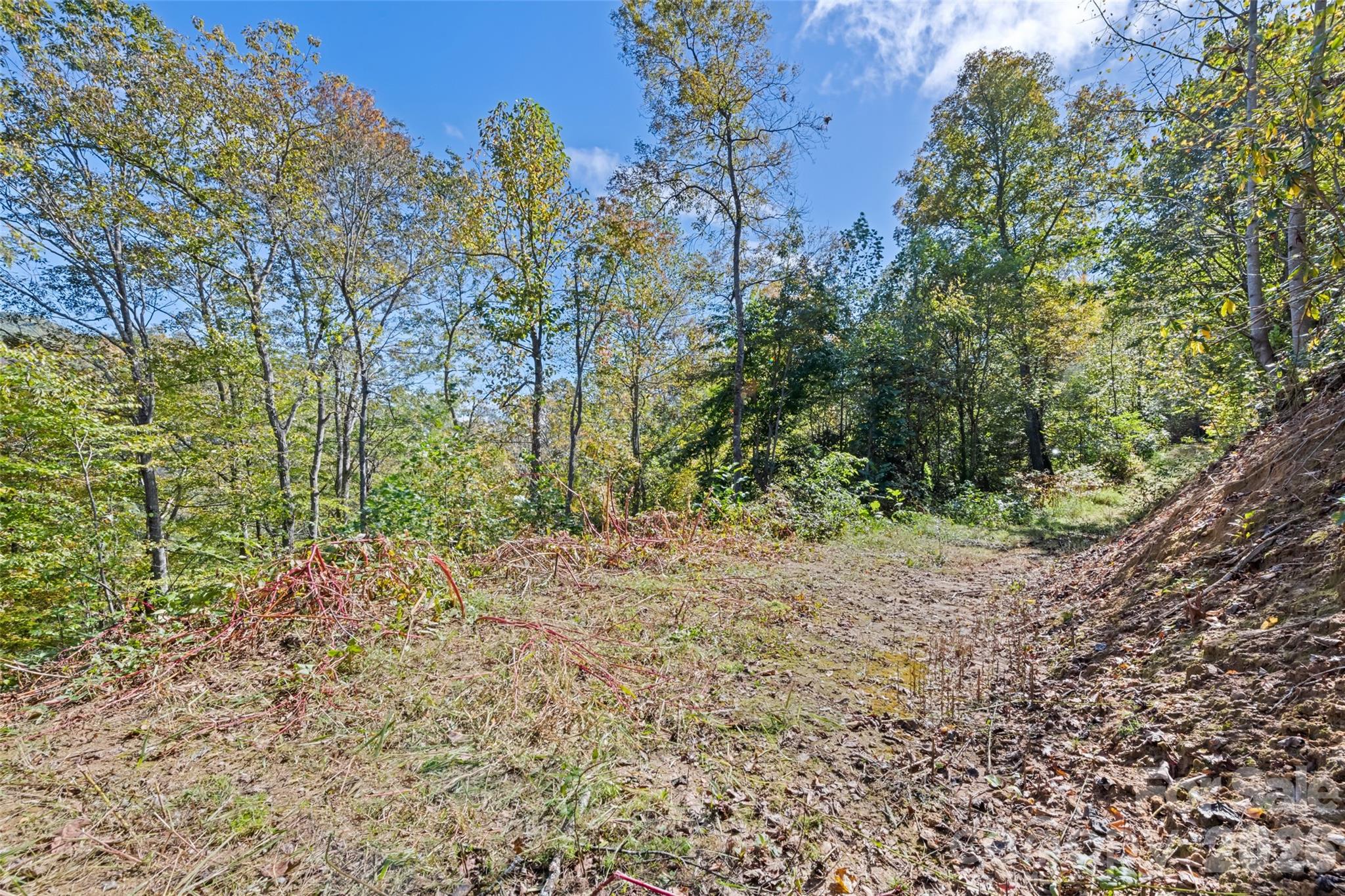 River Woods - Land