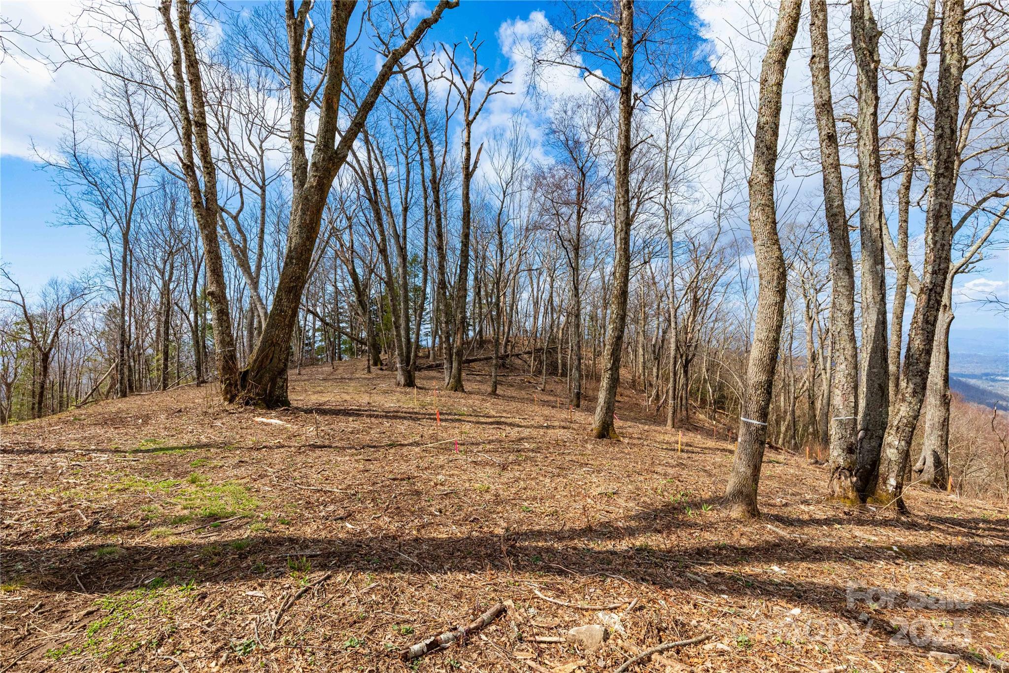 703 Fairview Forest Drive 2