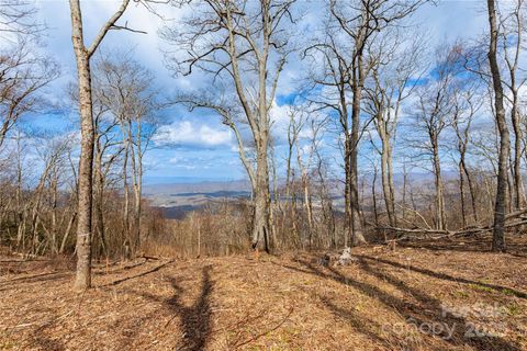 703 Fairview Forest Drive 2 Fairview NC 28730