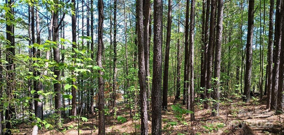 Lake Rhodhiss Estates - Land