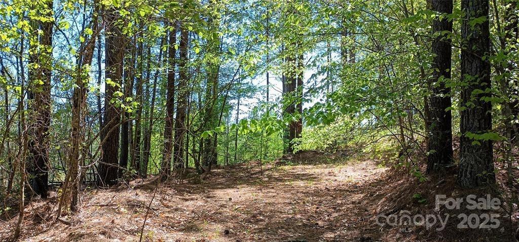 Lake Rhodhiss Estates - Land