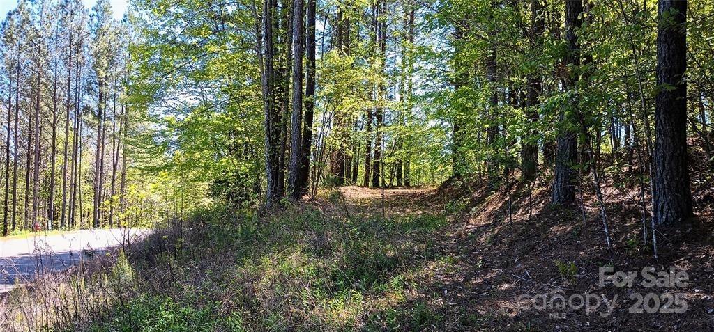 Lake Rhodhiss Estates - Land