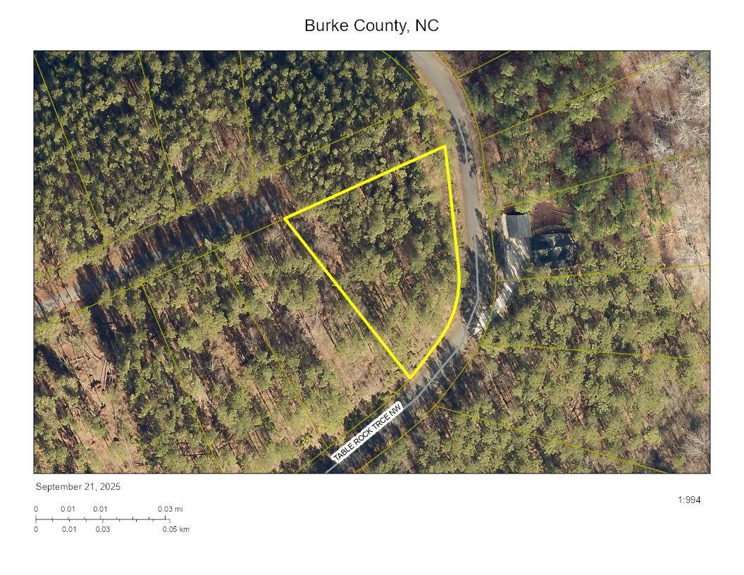 Lake Rhodhiss Estates - Land