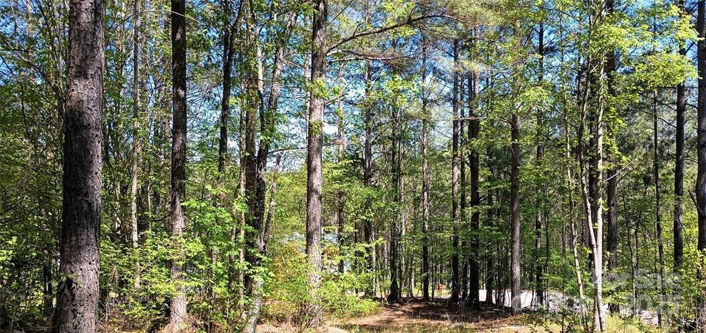 Lake Rhodhiss Estates - Land