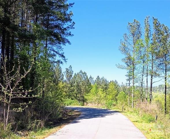 Lake Rhodhiss Estates - Land