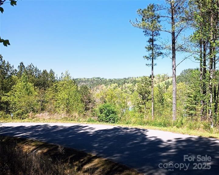 Lake Rhodhiss Estates - Land