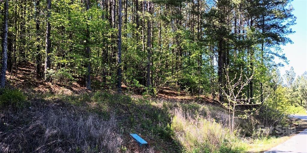 Lake Rhodhiss Estates - Land