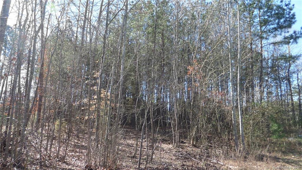 Indian Forest - Land