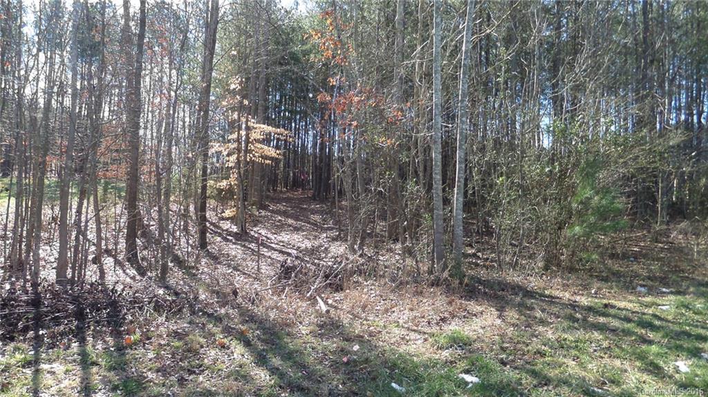 Indian Forest - Land