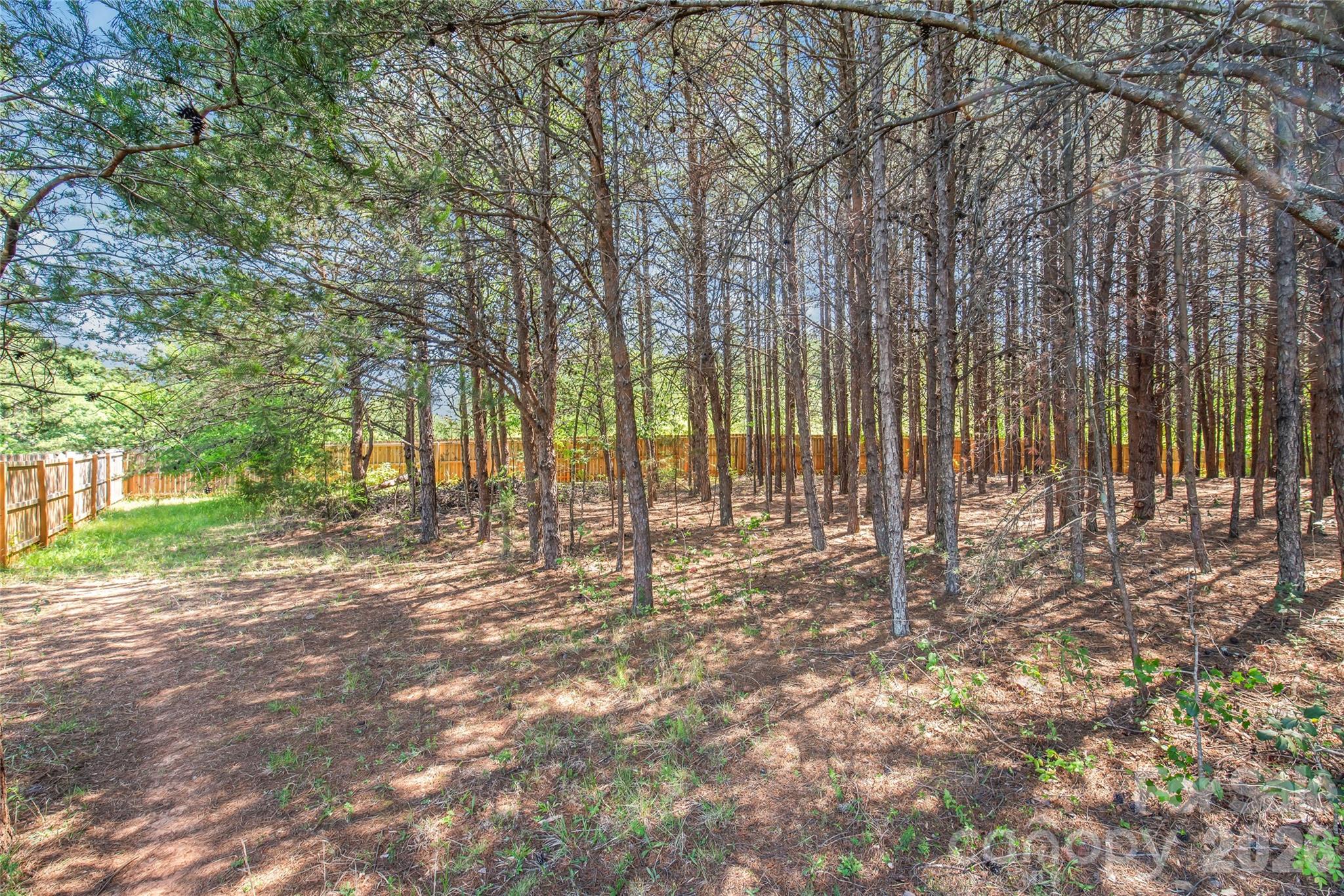 McBrayer Springs - Residential