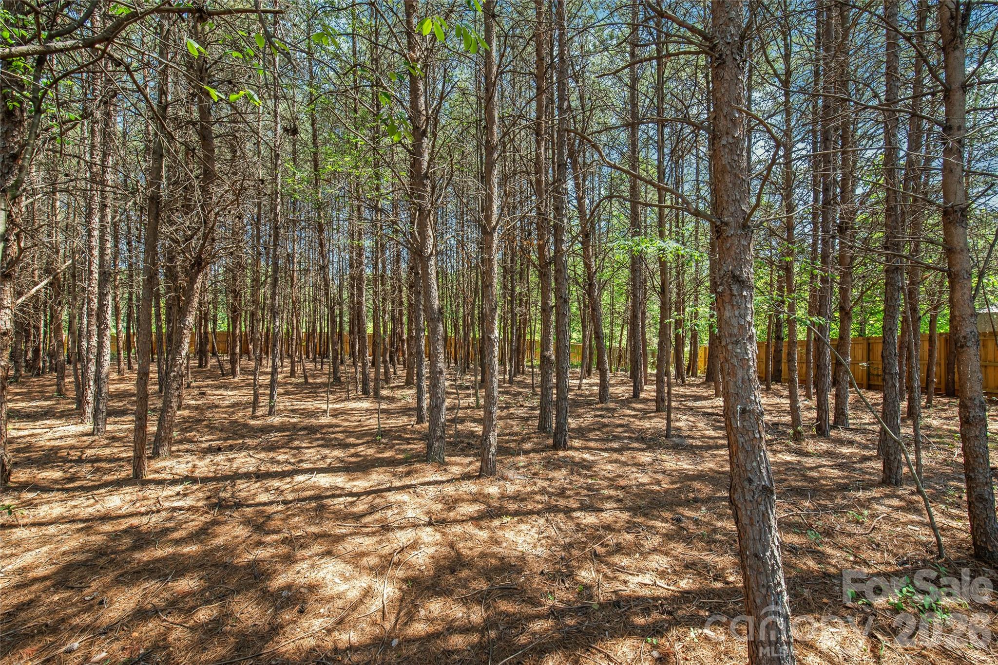 McBrayer Springs - Residential