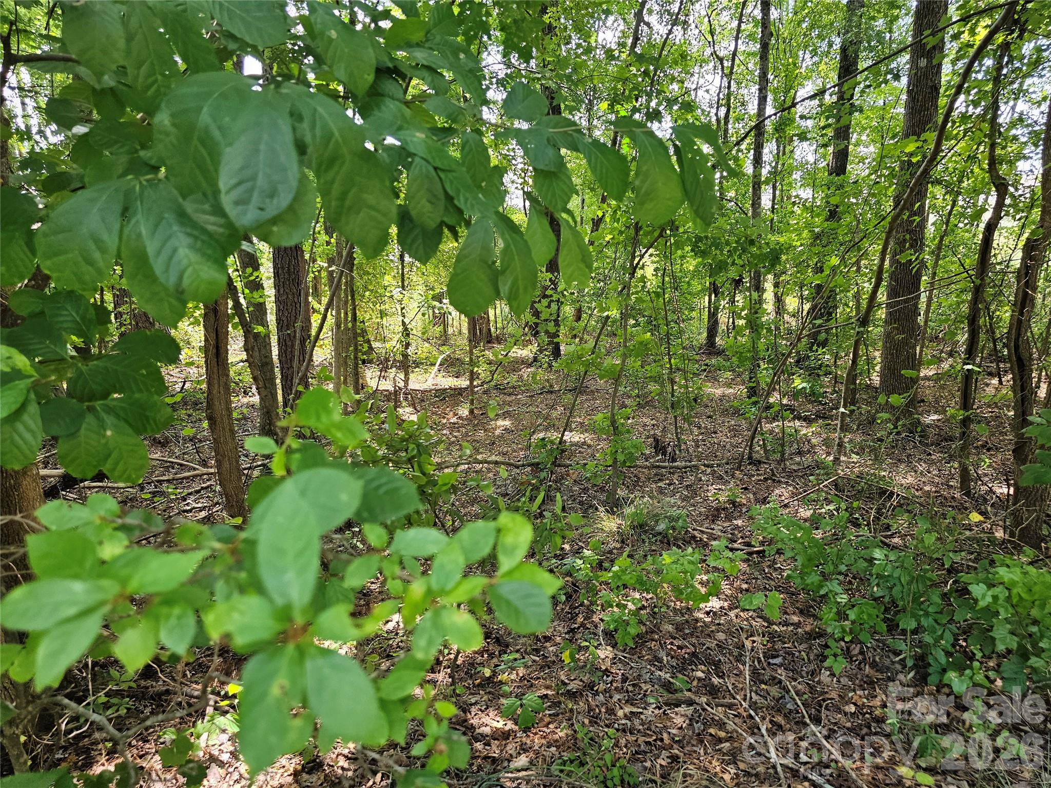 Victorian Hills - Residential