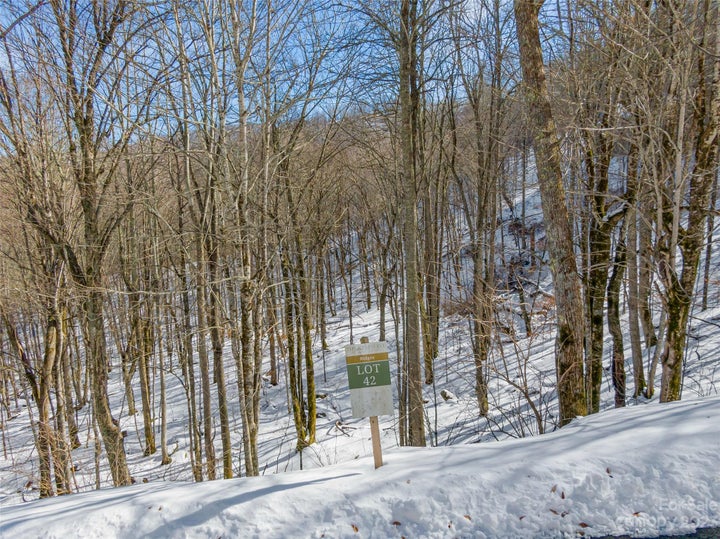 Photo 1 of 27 — Lot 42 Black Bear Run, Mars Hill, NC 28754