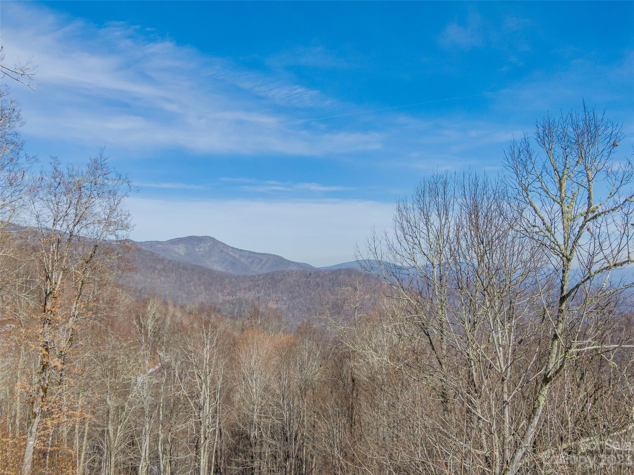 Lot 42 Black Bear Run