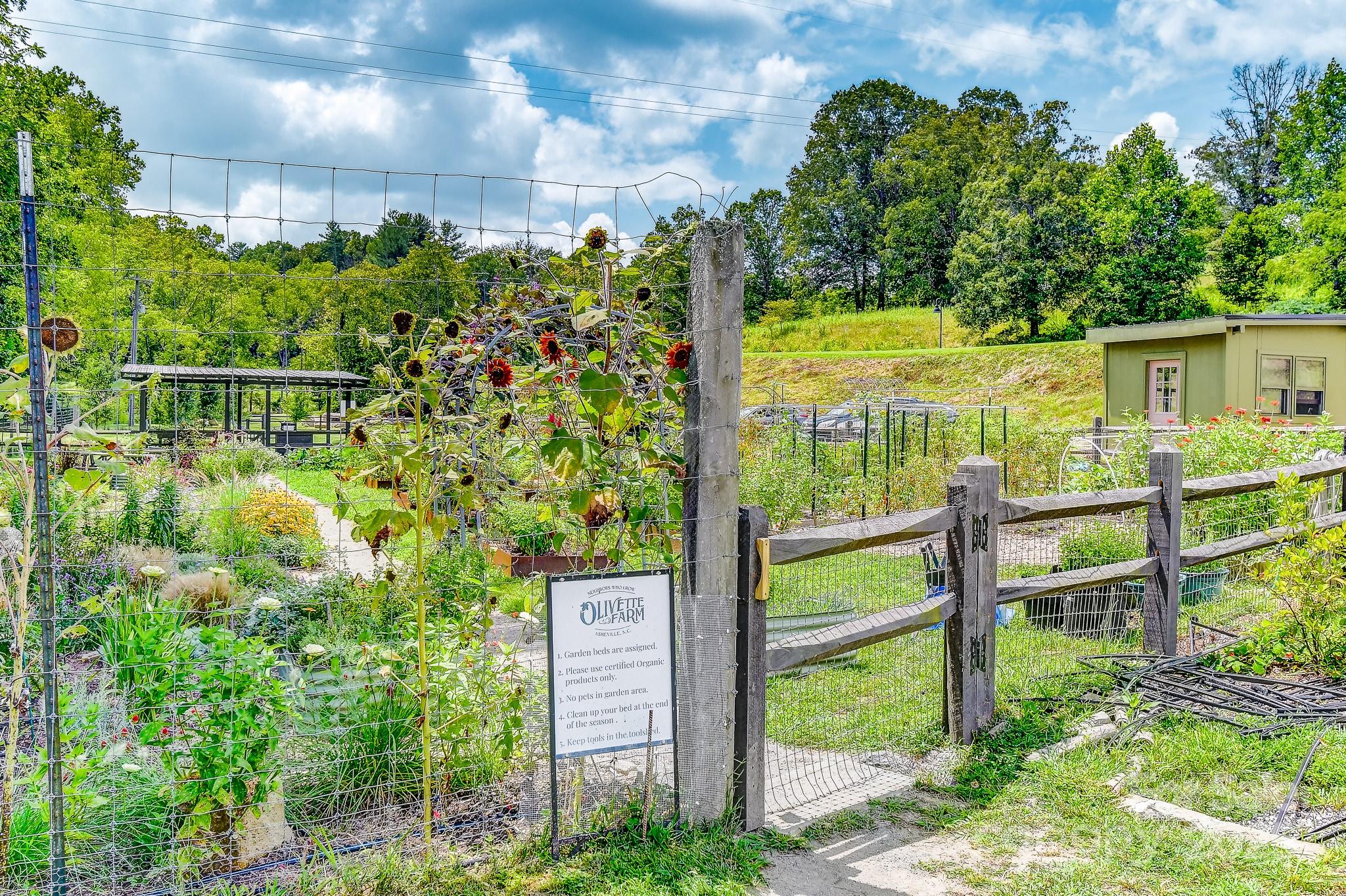 Olivette - Residential