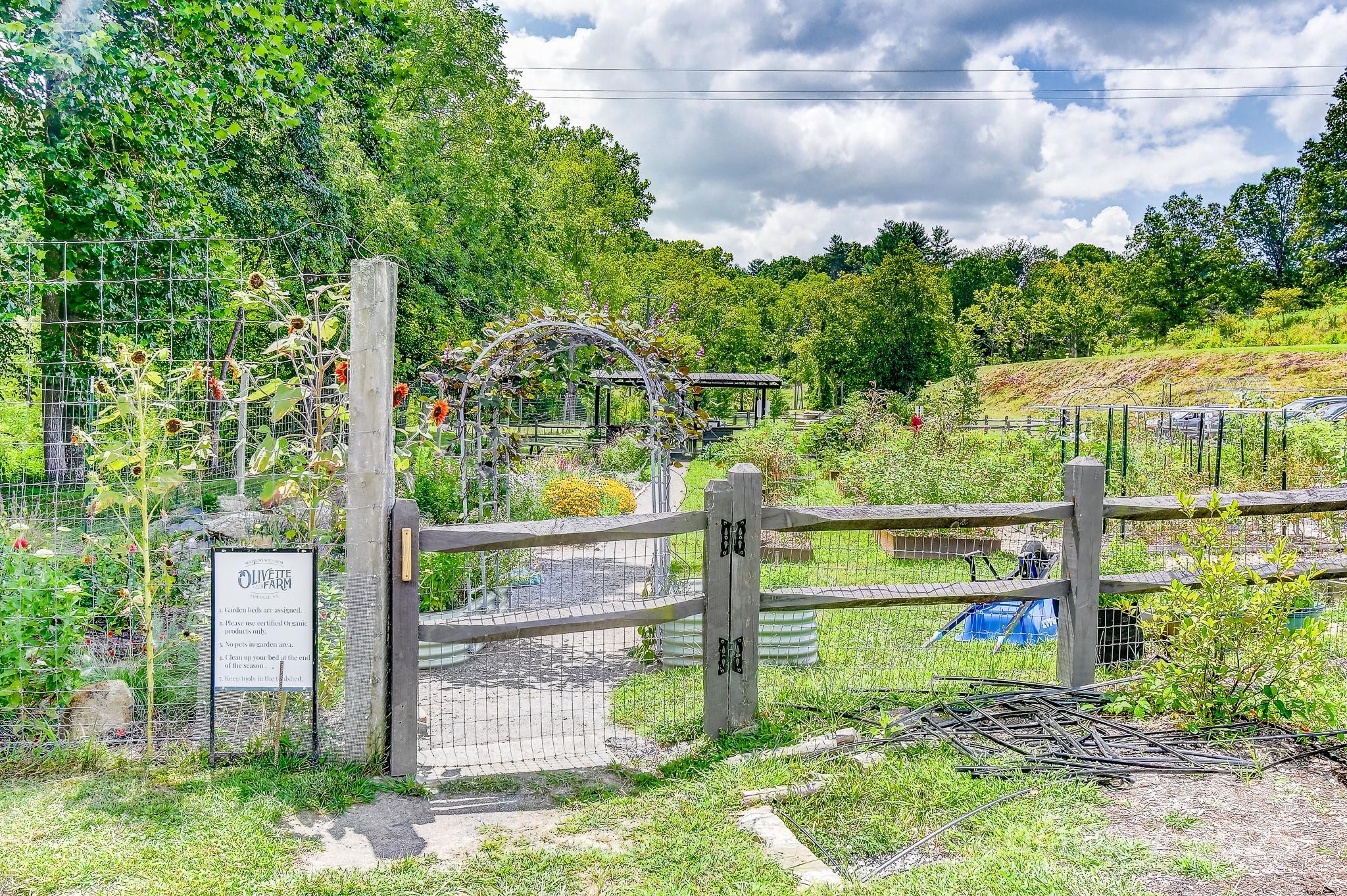 Olivette - Residential