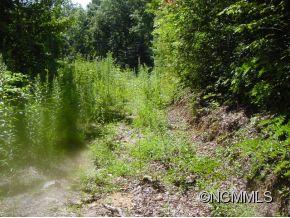 Gray Fox Development - Land