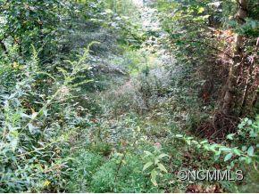 Gray Fox Development - Land