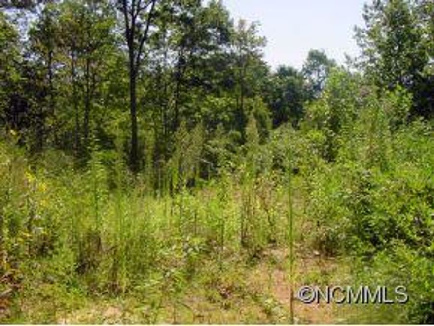 Over 2.5 wooded acres.  Private/secluded setting with multiple build sites.   You will need to park at end of road and walk down to the property. Recommend printing aerial prior to going to property.