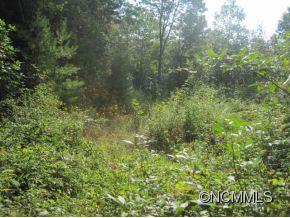 Gray Fox Development - Land