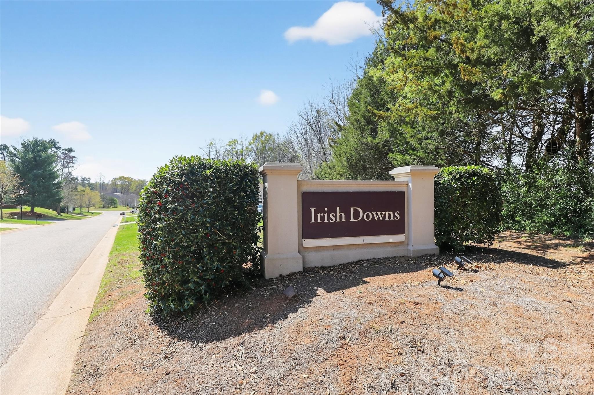 Irish Downs - Residential
