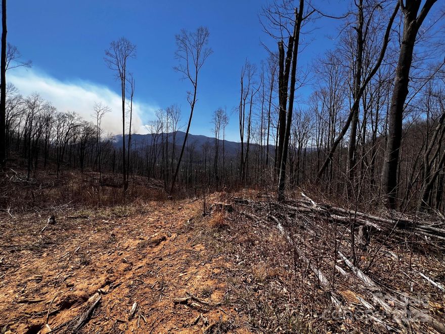 Includes Springdale Resort Membership! Experience the Springdale renaissance.  This hidden gem of western North Carolina is nestled in the Blue Ridge Mountains and home to Springdale Resort.  Build your dream home or vacation retreat in a community featuring an 18-hole championship golf course in the shadow of Cold Mountain.  Ringed by mountains and spectacular vistas, the resort offers the award-winning Rocky Face Tavern, pro shop, pool, fitness center, event center, and driving range.  All within easy golf cart driving distance from homes.  A gated community offering everything at your fingertips, now is the time to pick out your lot.  Just 20 minutes to Waynesville or 35 minutes  to Asheville. Let Springdale Realty help you with all the steps from viewing the lot to building your home.