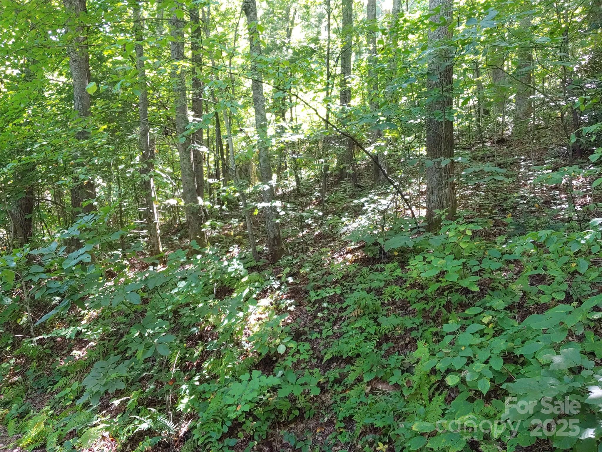 0000 Thomasville Lane