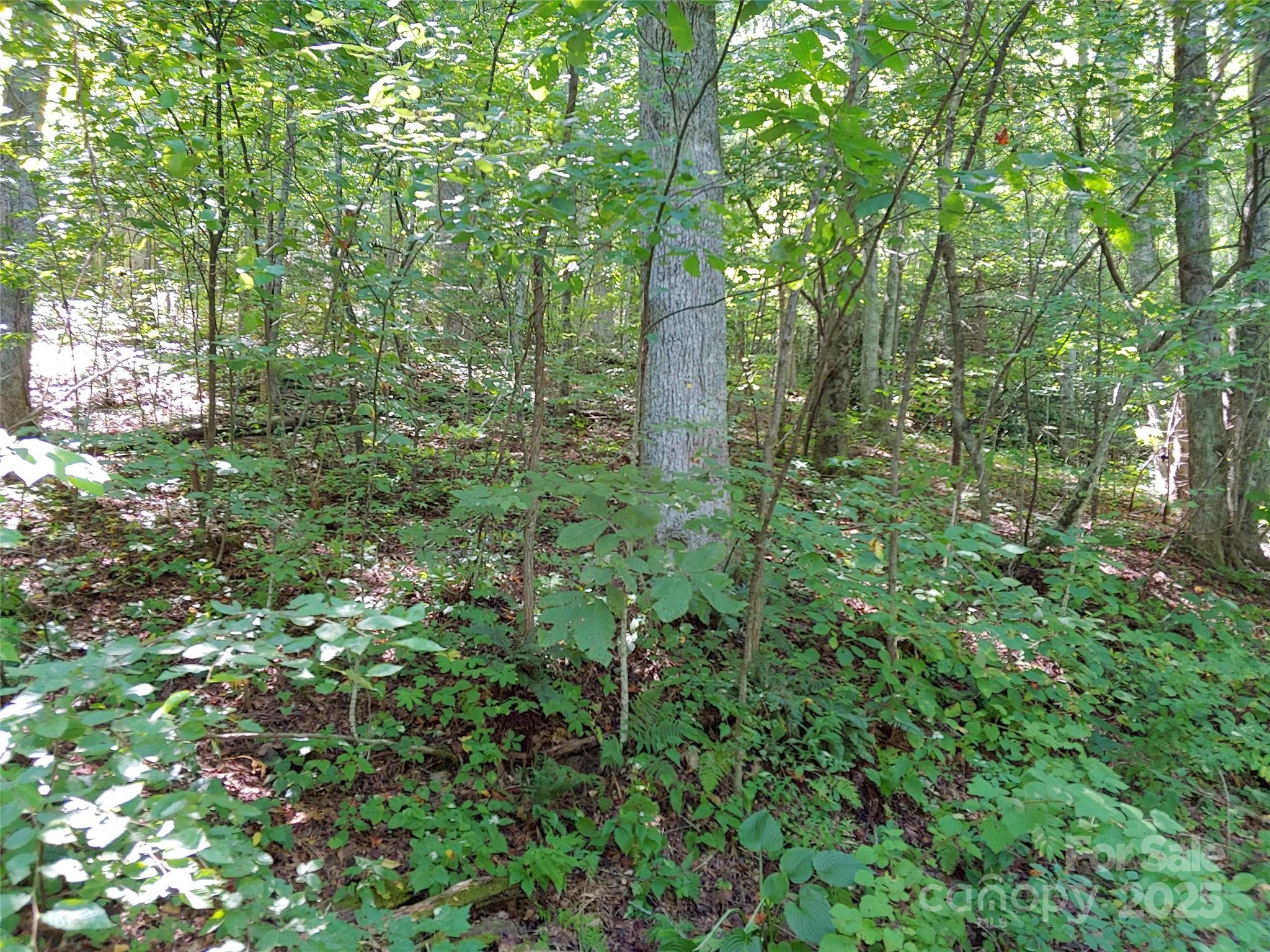 0000 Thomasville Lane