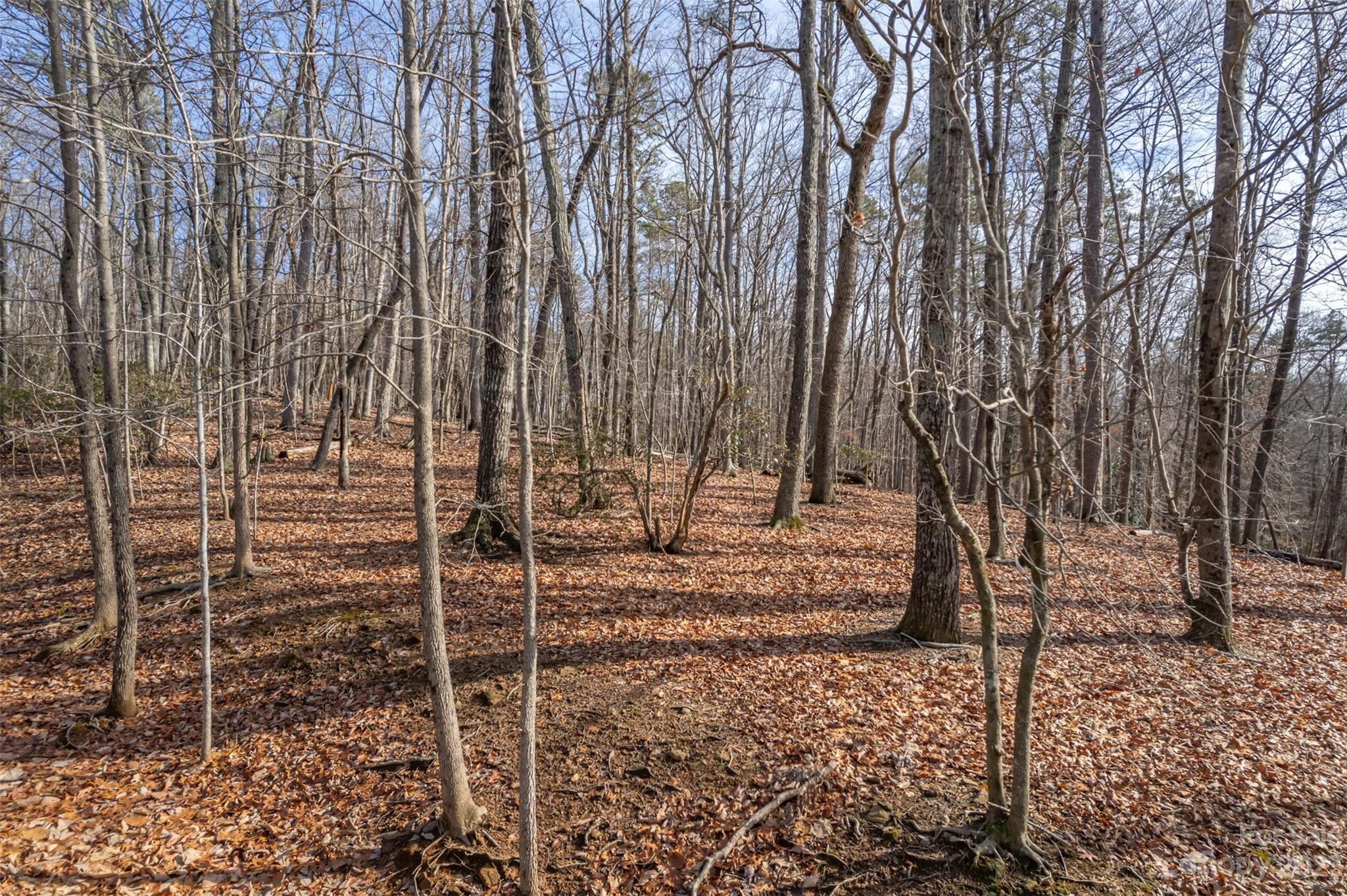 Snaffles - Land