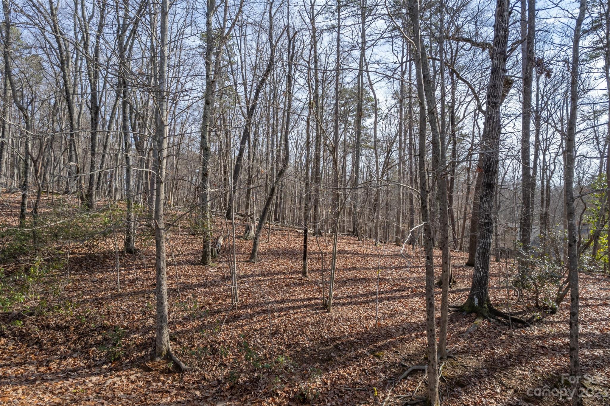 Snaffles - Land