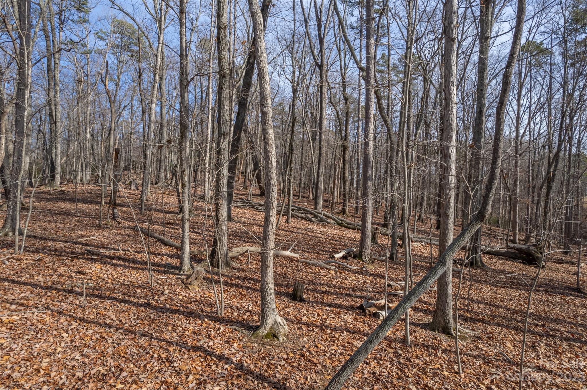 Snaffles - Land