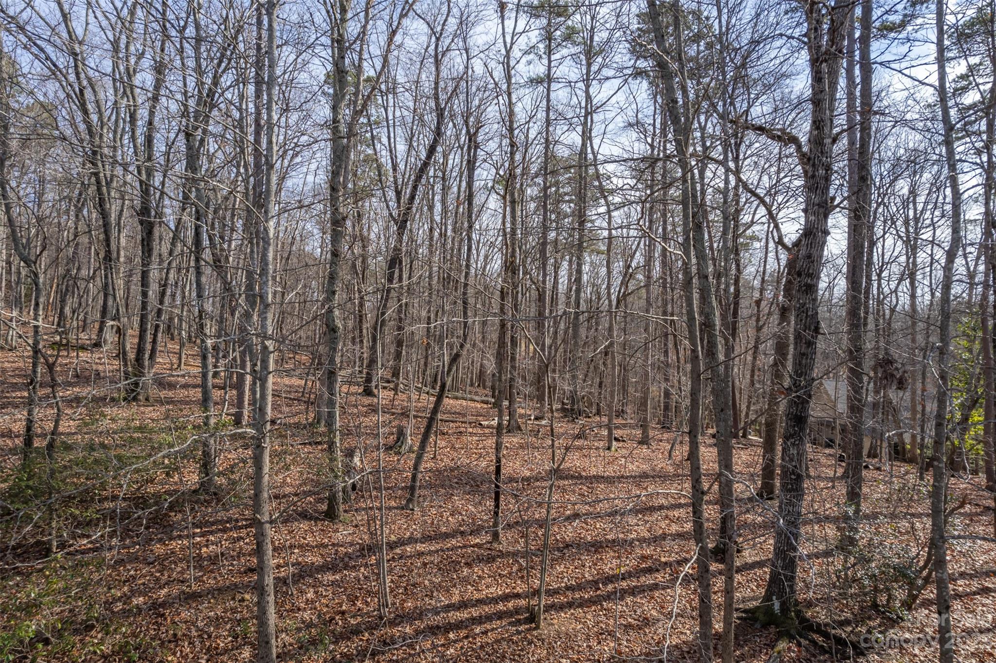 Snaffles - Land