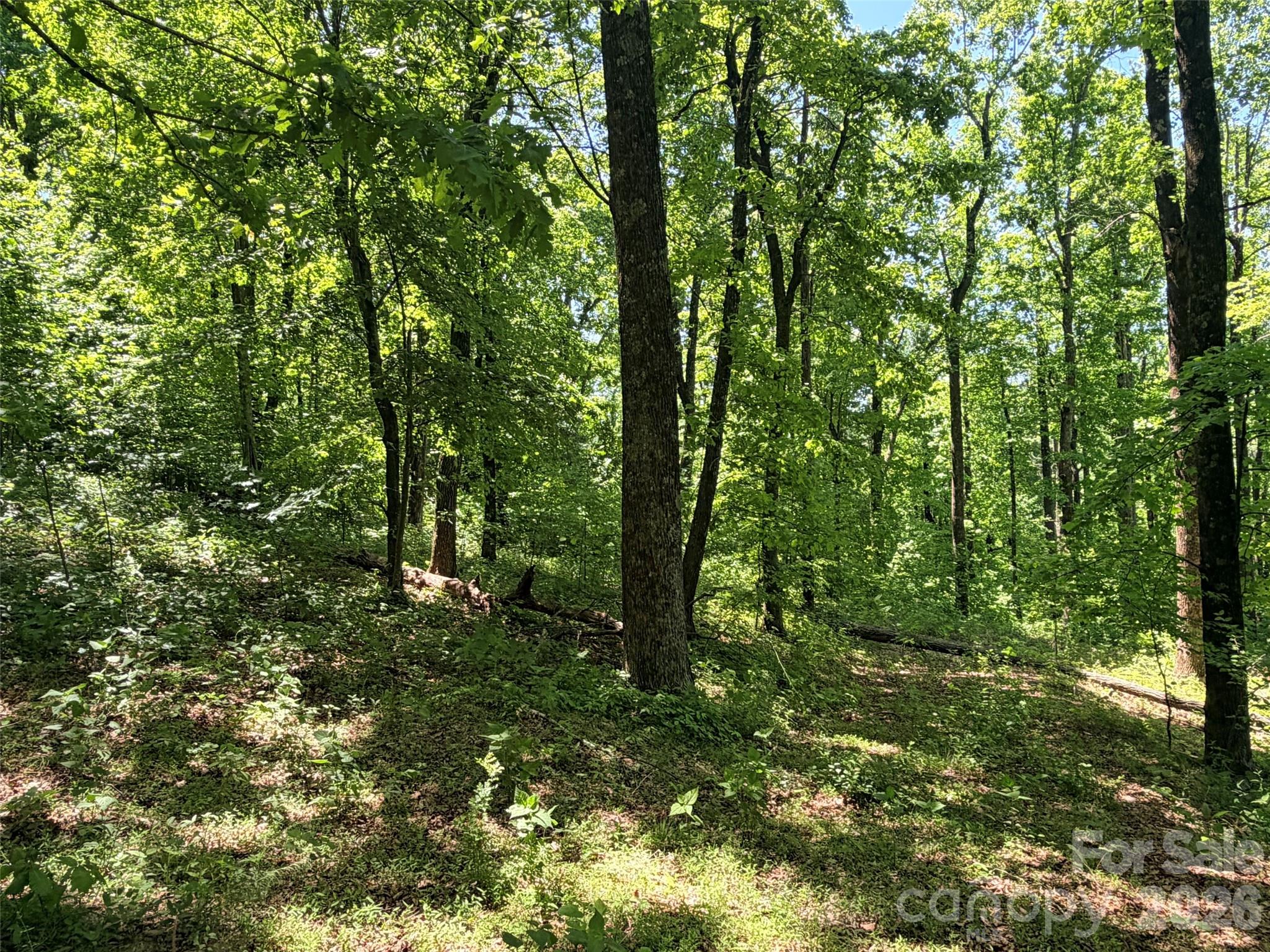 Lot 10 Timbercliff Trail