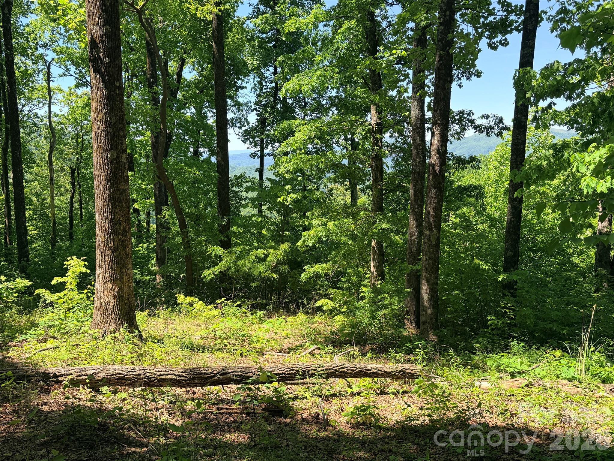 High Cliffs at Round Mountain - Land