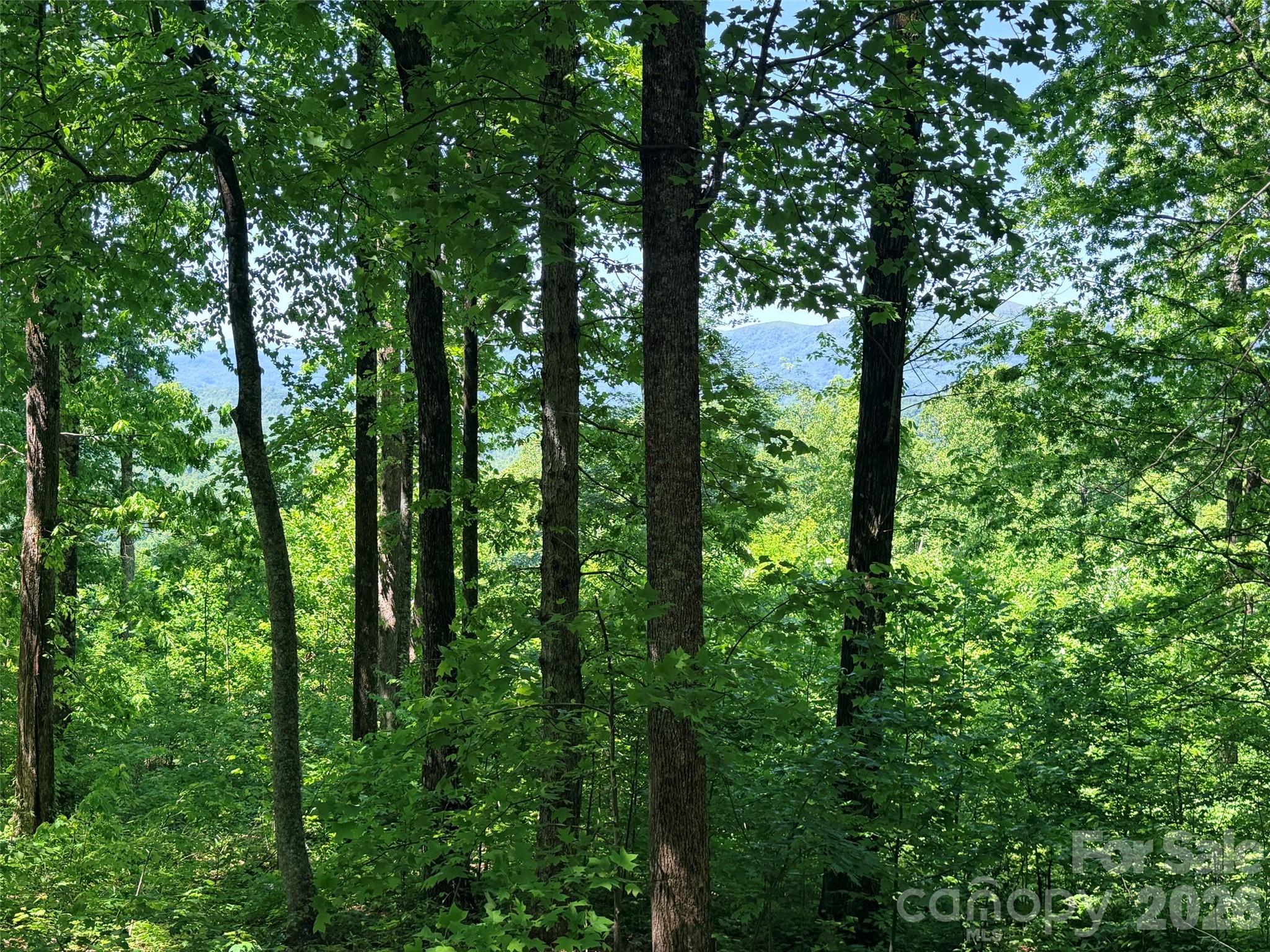 Lot 10 Timbercliff Trail