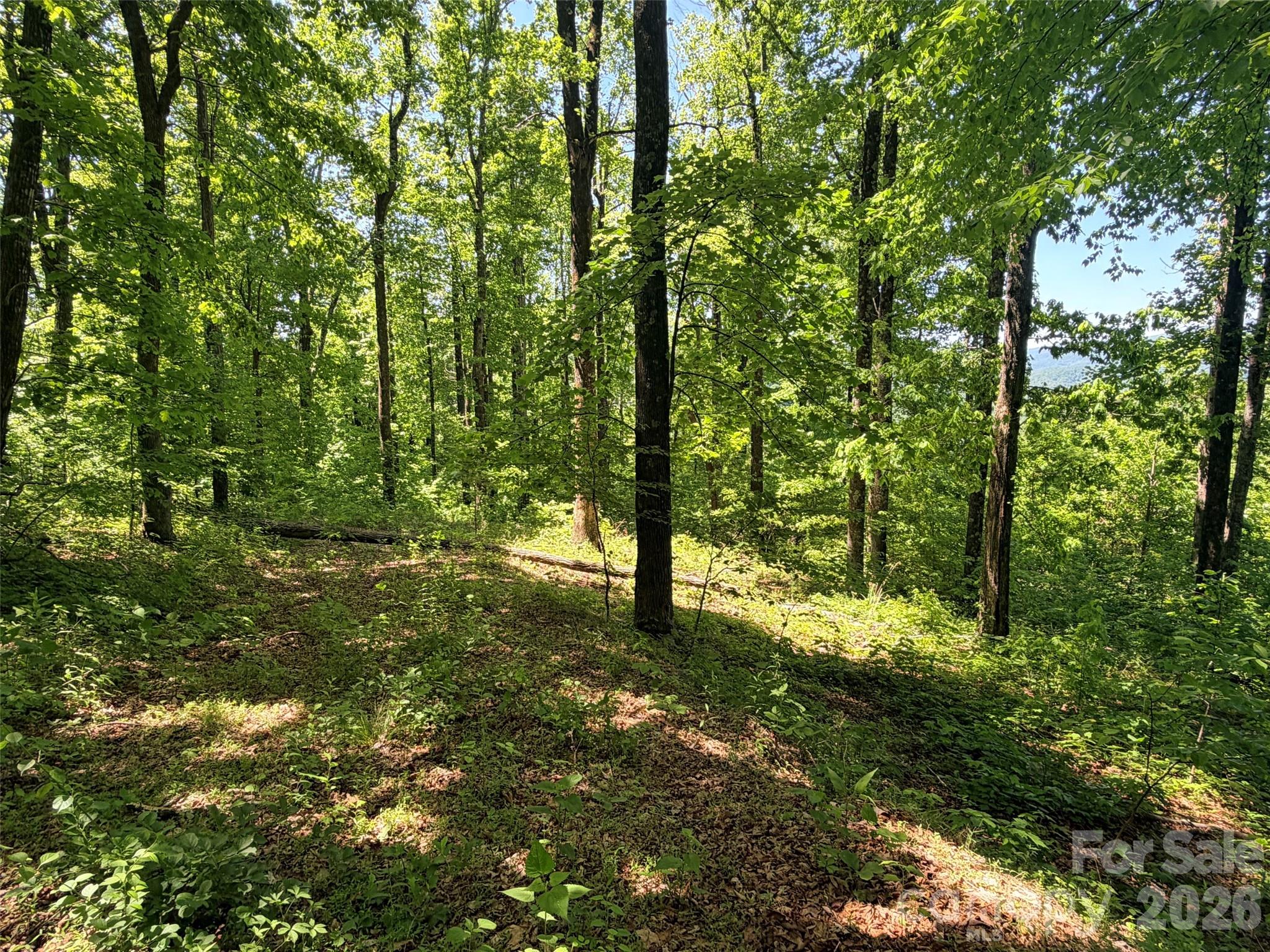 Lot 10 Timbercliff Trail