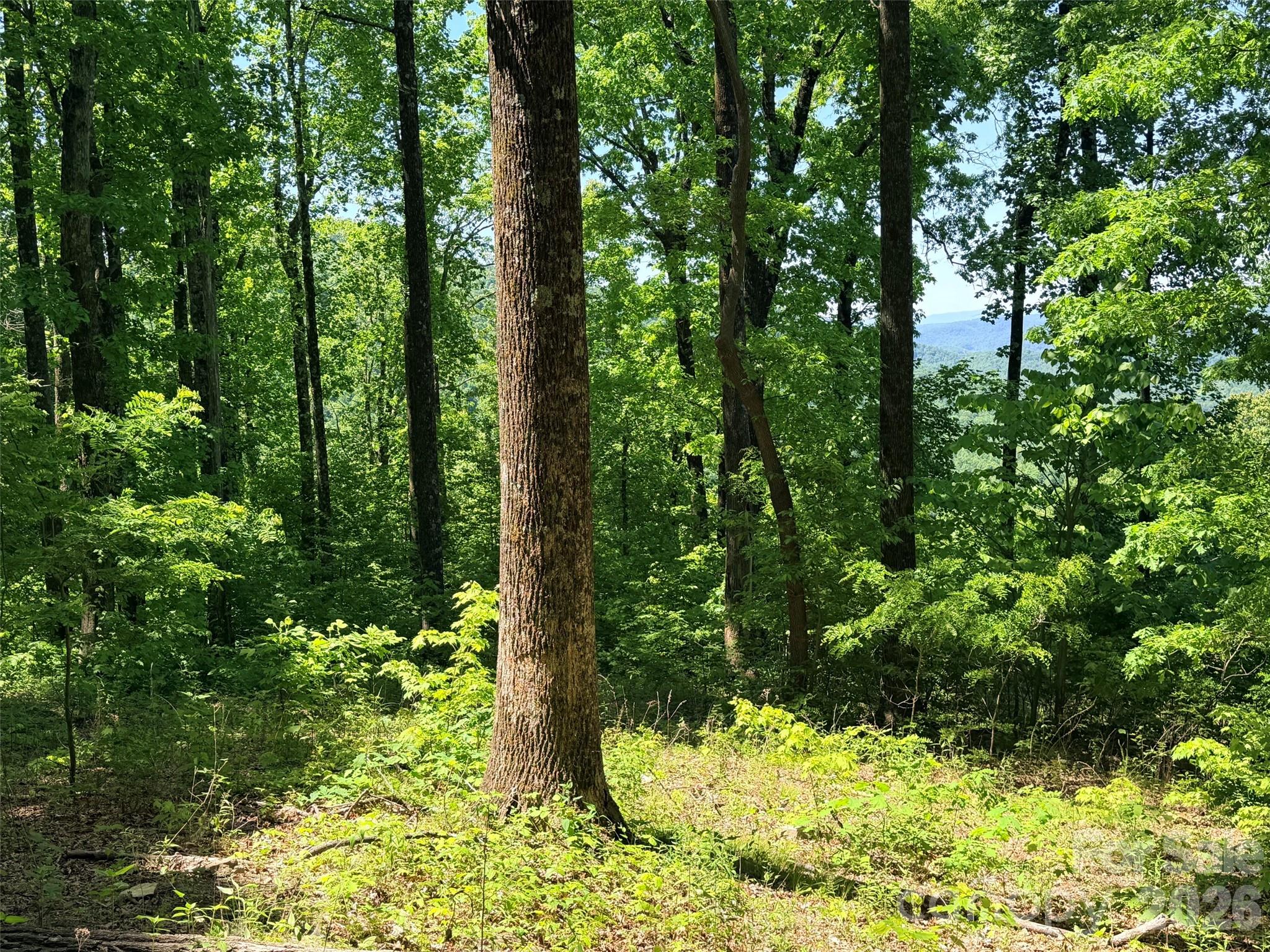 High Cliffs at Round Mountain - Land