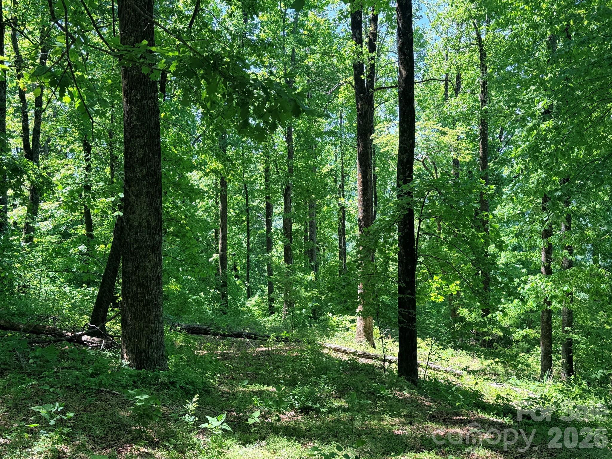 Lot 10 Timbercliff Trail