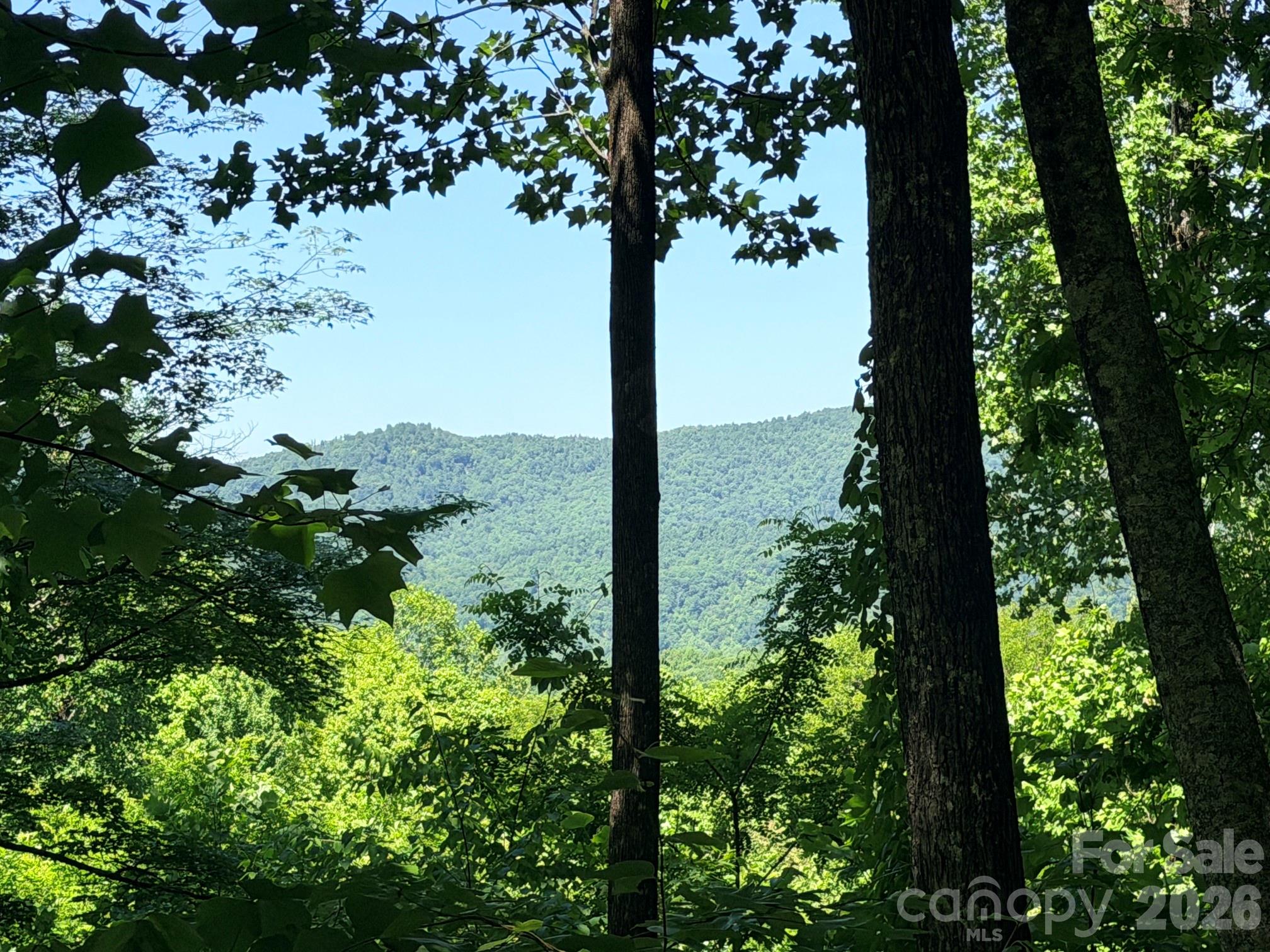 High Cliffs at Round Mountain - Land