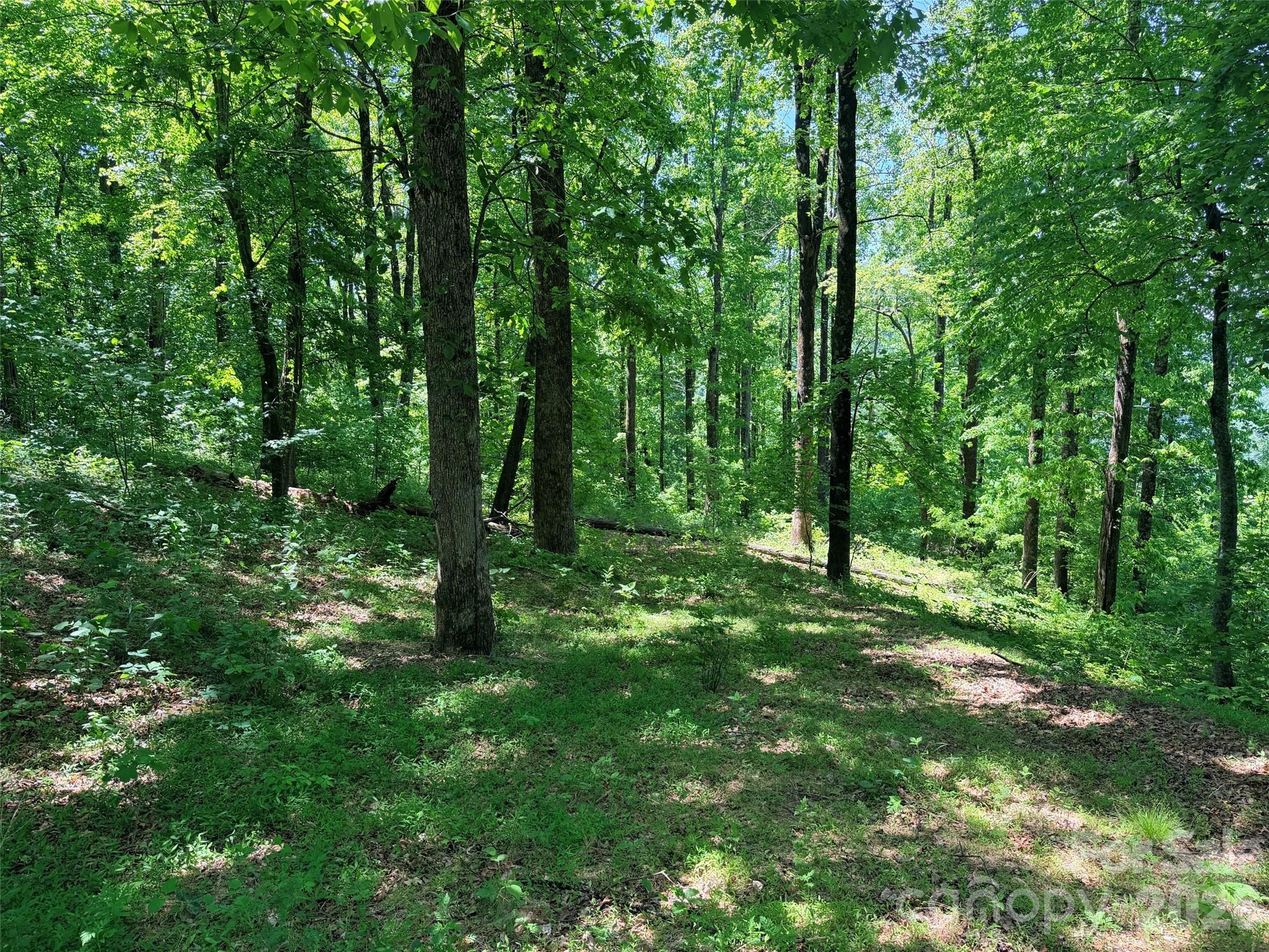 High Cliffs at Round Mountain - Land