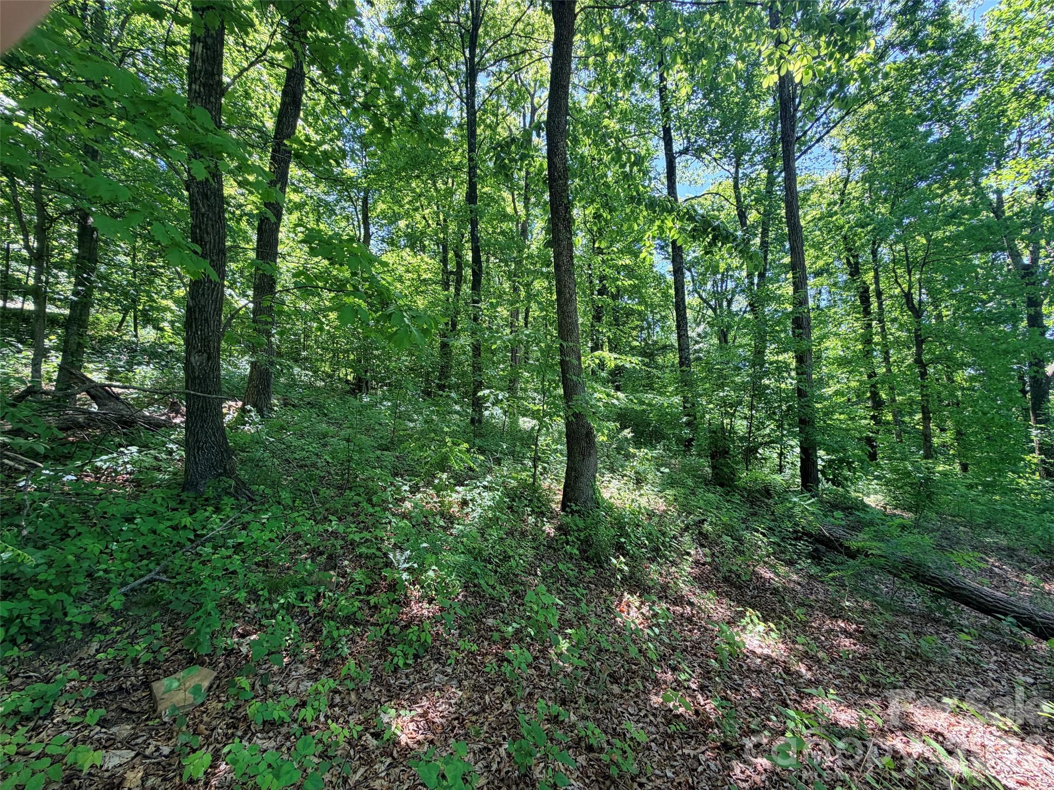 High Cliffs at Round Mountain - Land