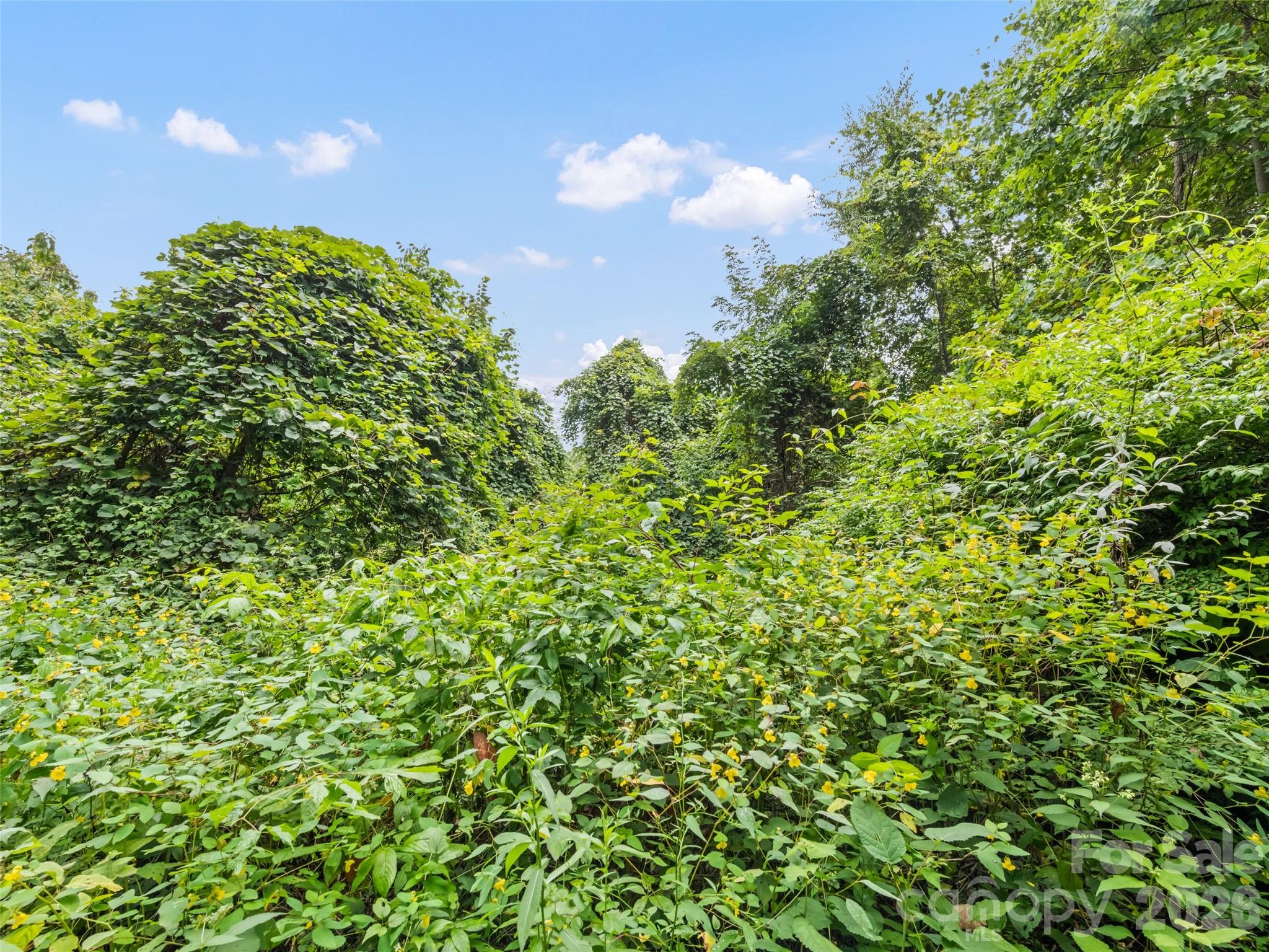 Apple Blossom Estates - Land