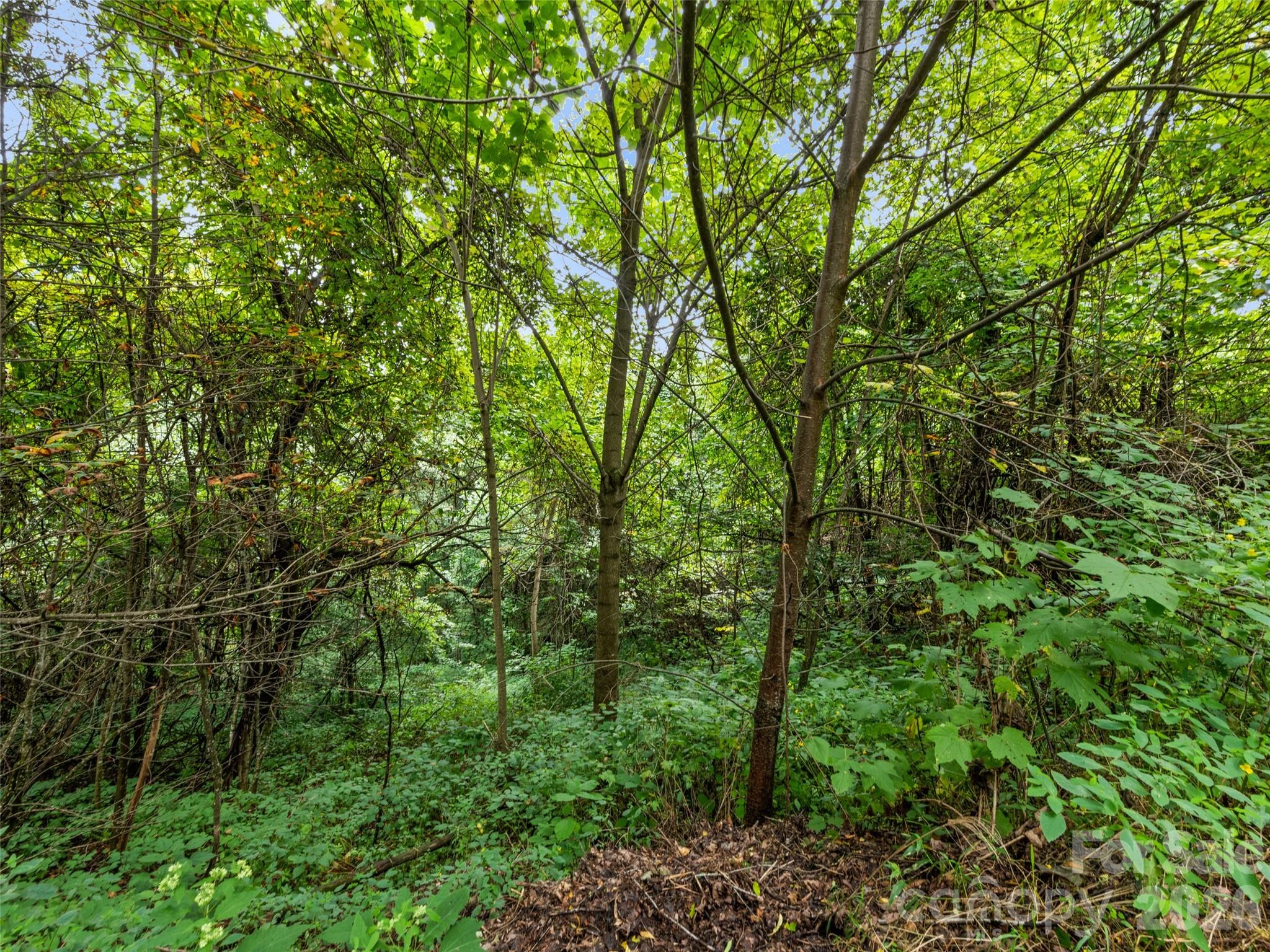 Apple Blossom Estates - Land