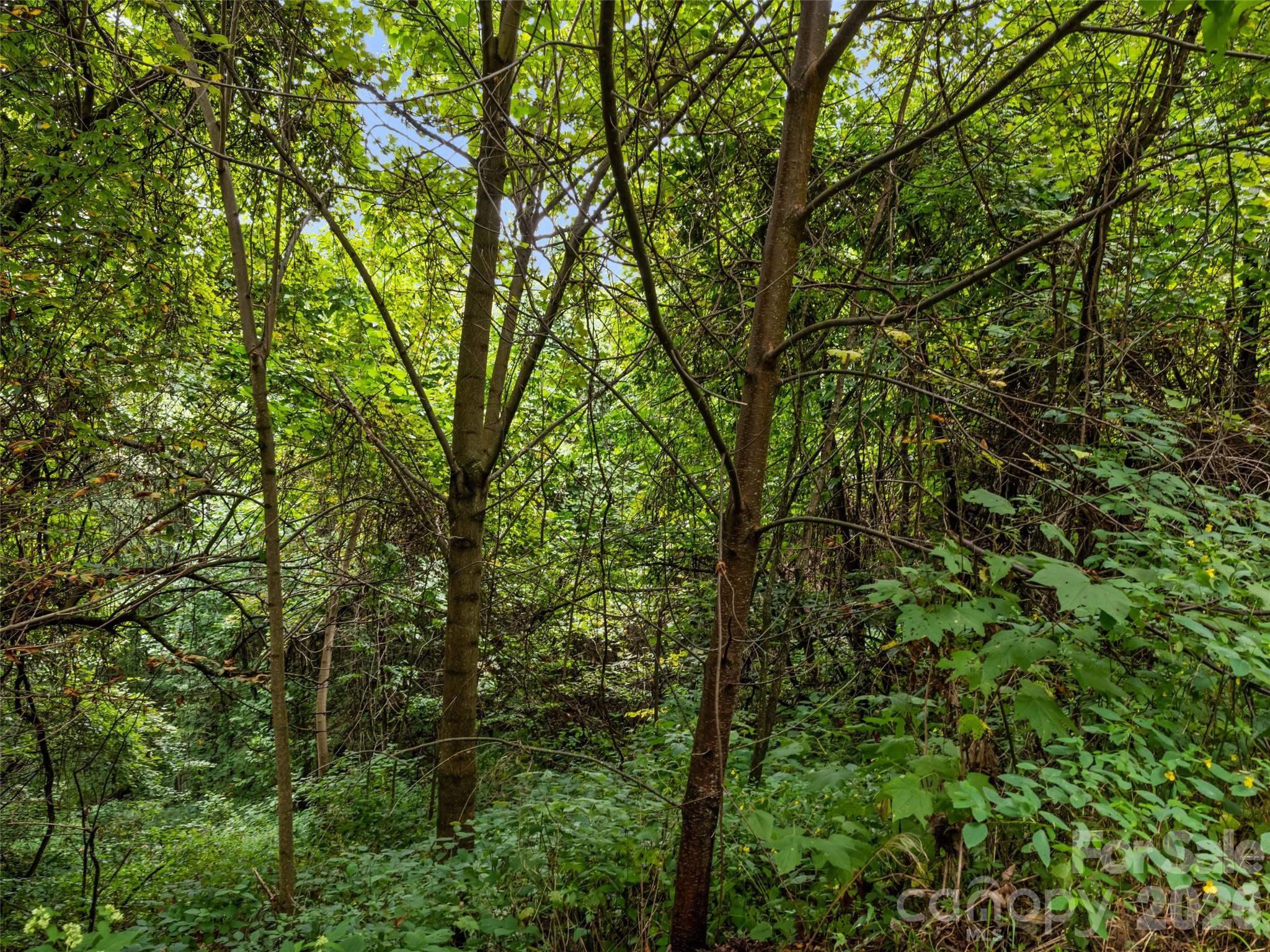 Apple Blossom Estates - Land